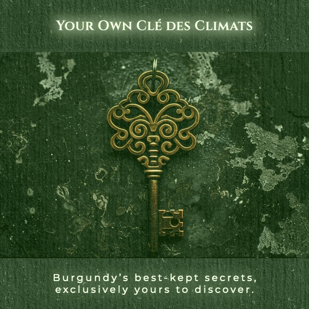 Ornate antique key on stone background